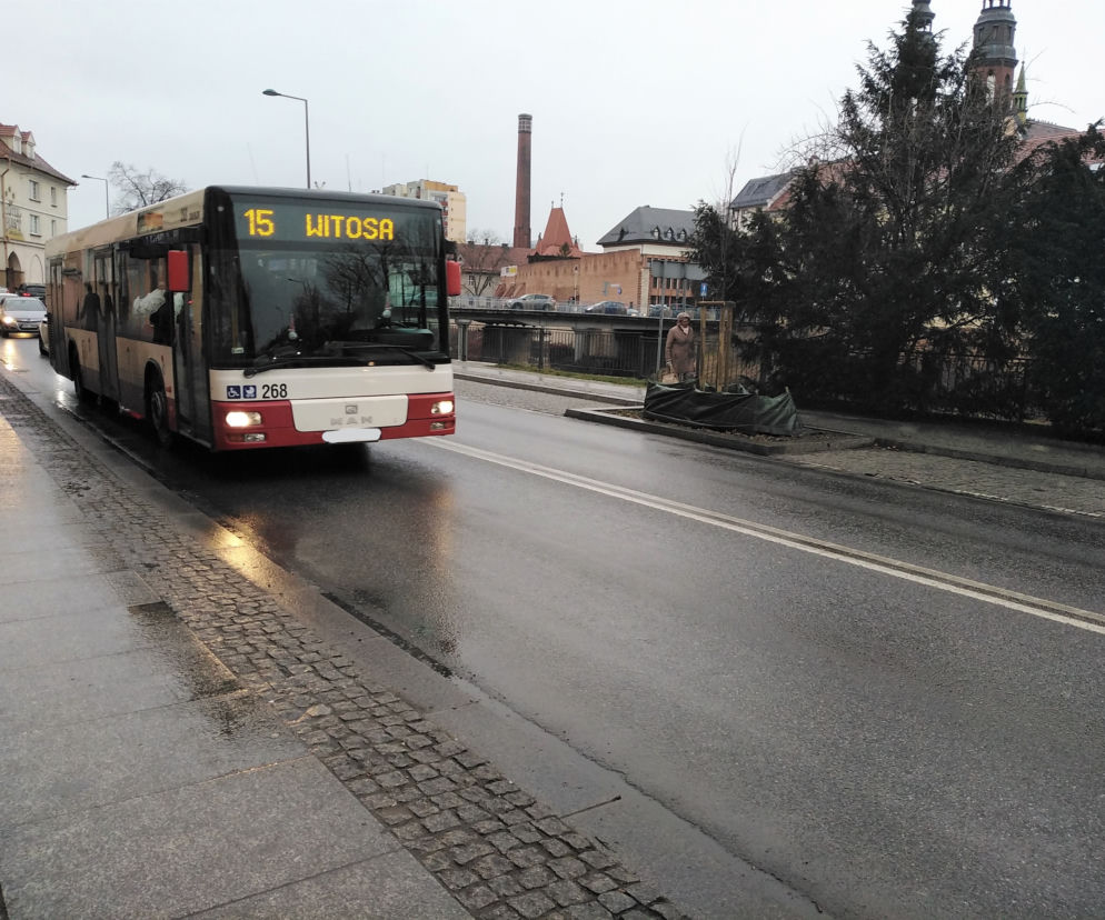 Opole: Autobusy podbiją centrum?