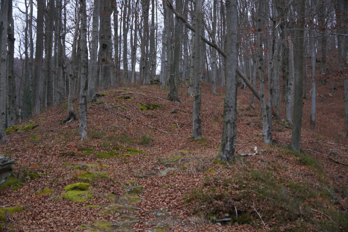 Żegiestów-Zdrój