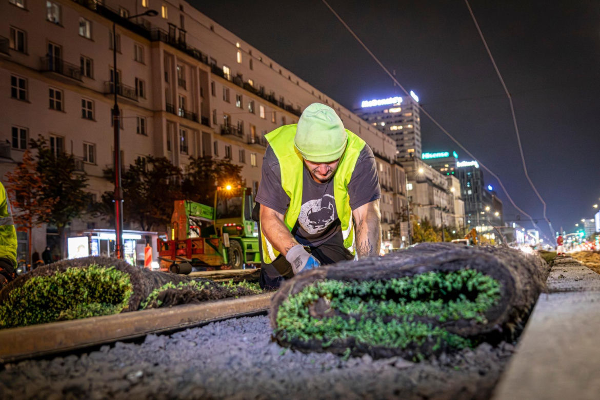 Wielki powrót tramwajów na Marszałkowską. Pojadą po zielonym dywanie