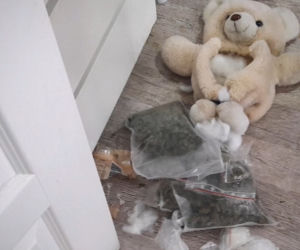 Białystok. Pluszowy miś nafaszerowany narkotykami. Zatrzymane 4 osoby