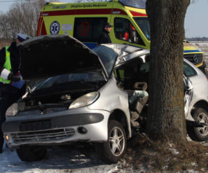 WYPADEK SKOŃCZYŁ SIĘ NA DRZEWIE
