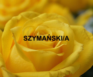 Najpopularniejsze nazwiska 2021 w Polsce. Które występują najczęściej? 