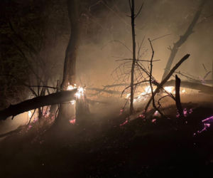 Pożar objął powierzchnię około 11 hektarów nieużytków