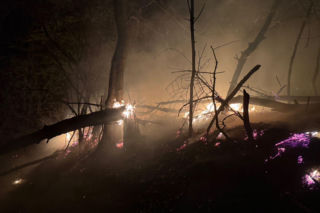 Pożar objął powierzchnię około 11 hektarów nieużytków