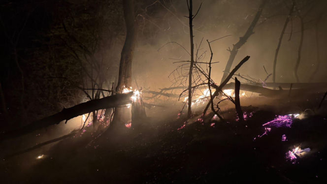 Pożar objął powierzchnię około 11 hektarów nieużytków