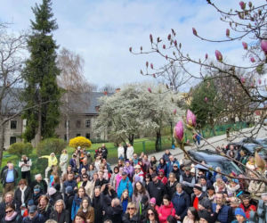 Szlak Kwitnących Magnolii