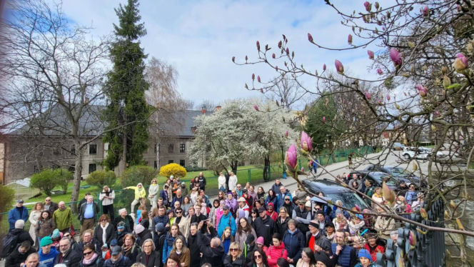 Szlak Kwitnących Magnolii