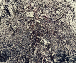 Zima Starachowice 29.11.2020