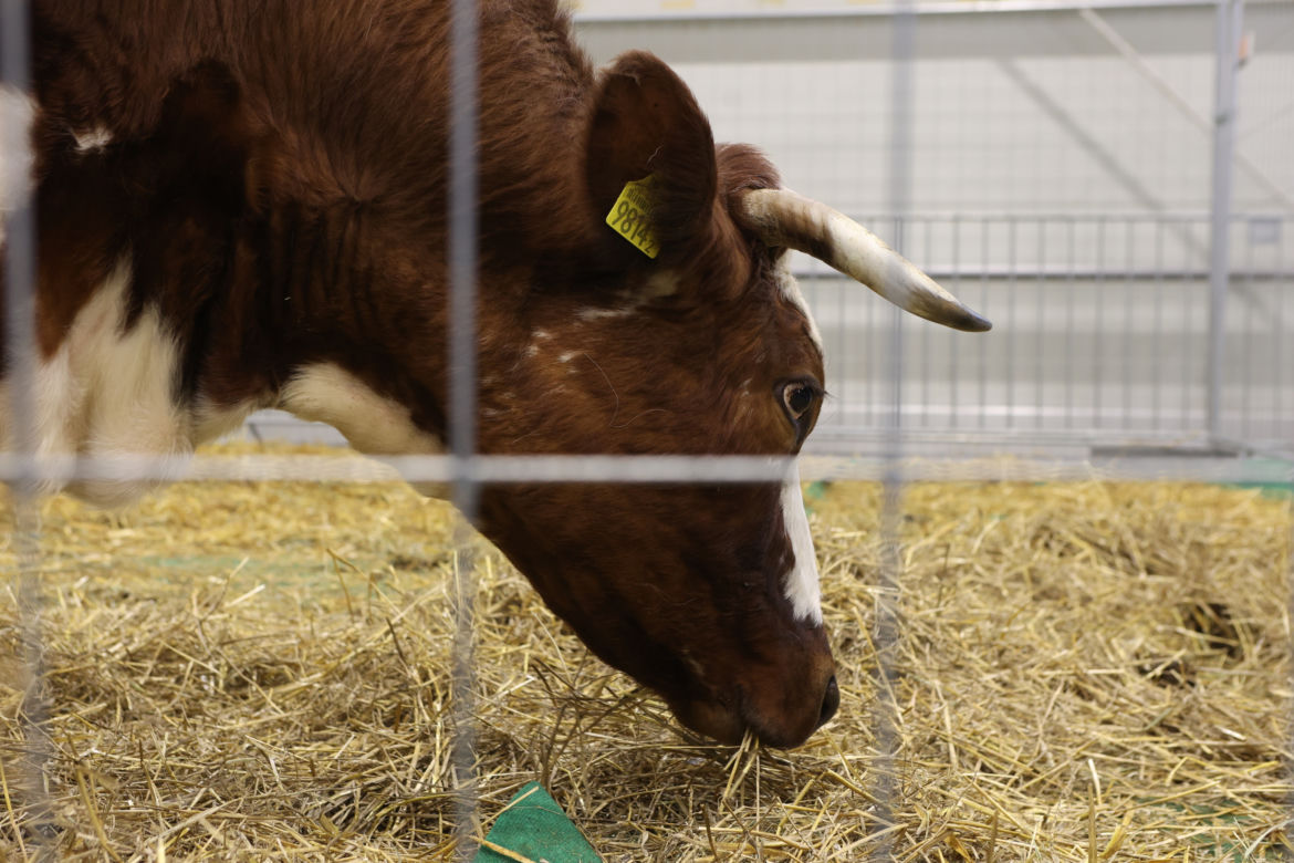 ZooPark 2023 w Lublinie przyciągnął tłumy!