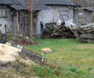 TO CUD ZE MIESZKAJĄCY W TYM DOMU 77-LATEK PRZEŻYŁ. WYBUCH GAZU ZŁOŻYŁ BUDYNEK JAK DOMEK Z KART
