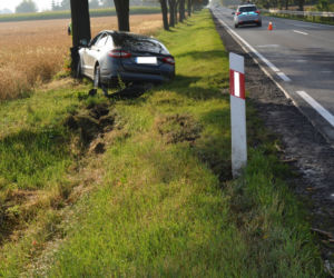 Groźny wypadek w powiecie radziejowskim. 65-letni kierowca uderzył w drzewo! [ZDJĘCIA]