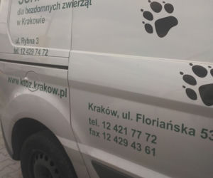 Tak KTOZ ratował bezbronnego zwierzaka
