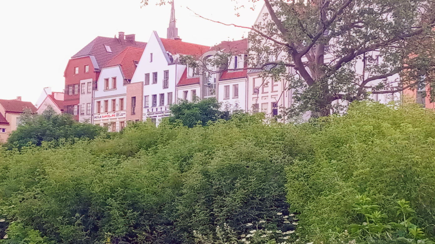 Szczecin: Od lat zarastała chaszczami. Pusta działka na Podzamczu przestanie straszyć?