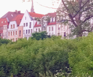 Szczecin: Od lat zarastała chaszczami. Pusta działka na Podzamczu przestanie straszyć?