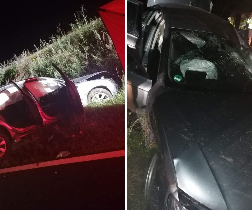 Ligota: Kierowca ZABIŁ 16-letnią Alicję. Pędził 160 km/h! Był pod wpływem. HORROR!