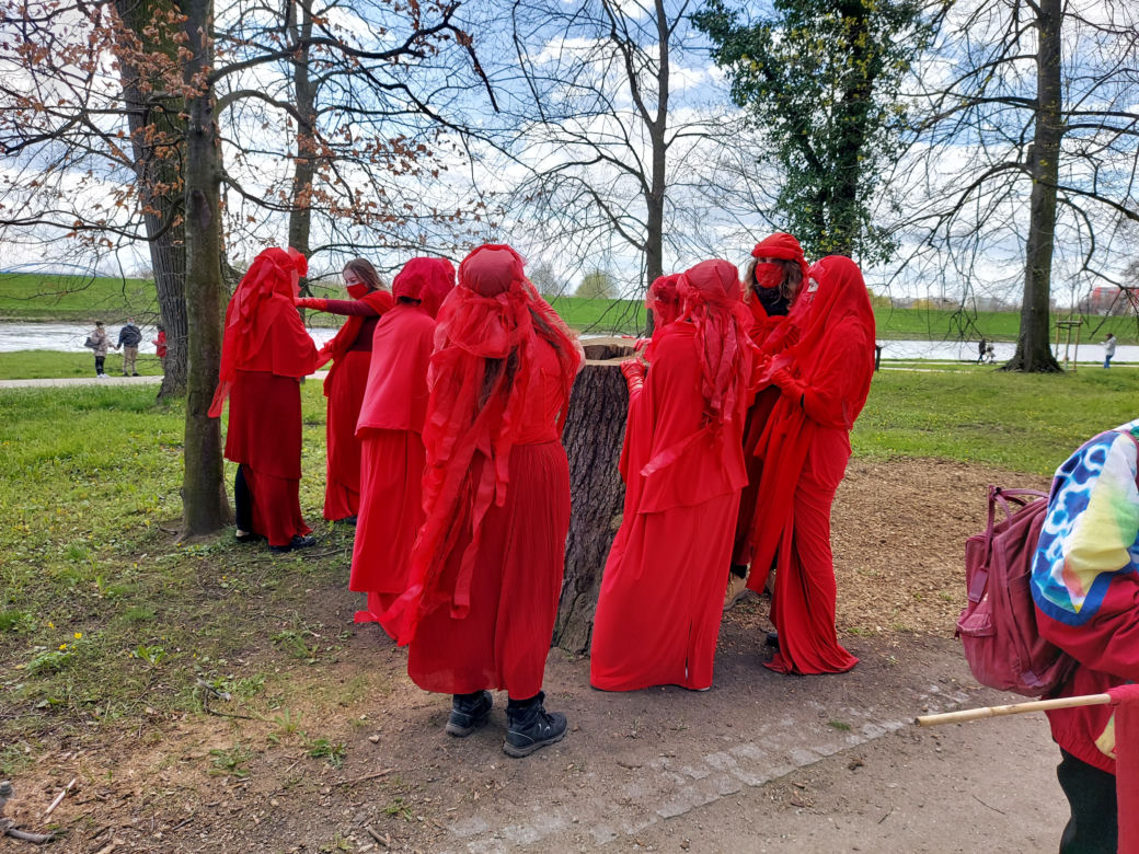 PRZERAŻAJĄCA manifestacja w centrum miasta! Milczący protest przypomniał o masowym wymieraniu [ZDJĘCIA]