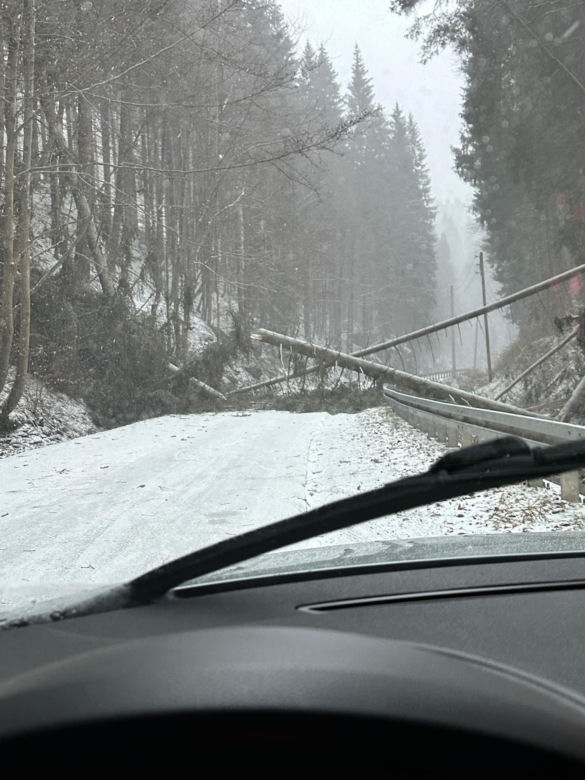 Atak zimy na Dolnym Śląsku. Zablokowane drogi, połamane i powalone drzewa 