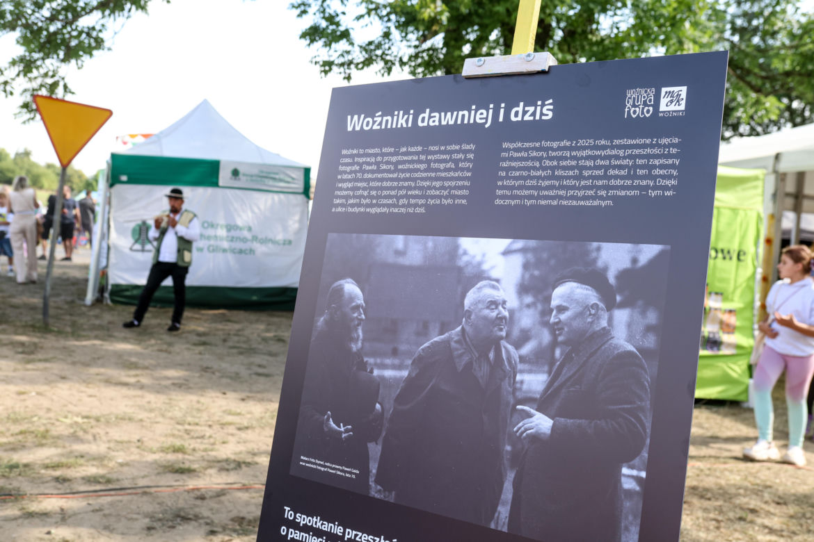 Dożynki w Woźnikach. Dożynki Województwa Śląskiego