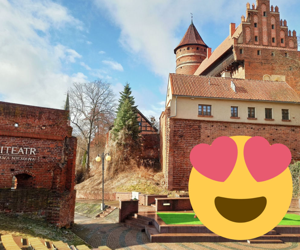 W centrum Olsztyna niecodzienny widok. Przy amfiteatrze pasą się kolorowe KROWY! 