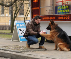 Komisarz Alex 3 sezon. Michał Orlicz (Antoni Pawlicki)
