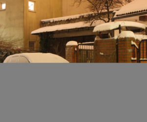 Katarzyna Figura ma szofera