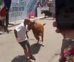 Szokujące sceny podczas gonitwy byków. Mężczyzna oszukał przeznaczenie