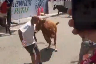 Szokujące sceny podczas gonitwy byków. Mężczyzna oszukał przeznaczenie