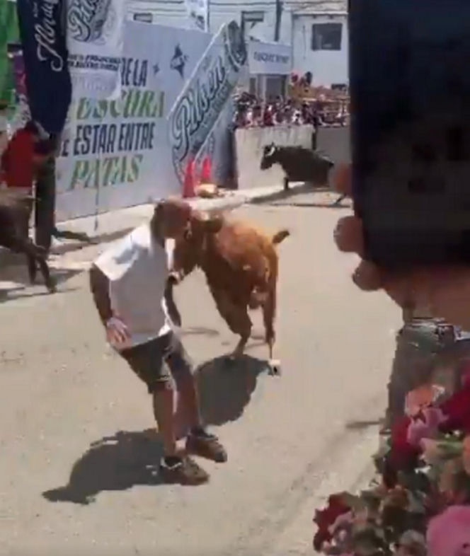 Szokujące sceny podczas gonitwy byków. Mężczyzna oszukał przeznaczenie