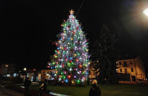 Choinka miejska Siedlce