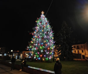 Choinka miejska Siedlce