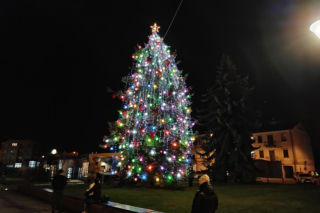 Choinka miejska Siedlce