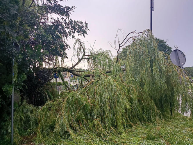 Groźne burze w Świętokrzyskiem (22.06.2026)