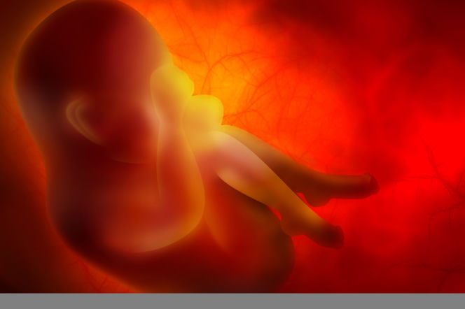 Aborcja płód
