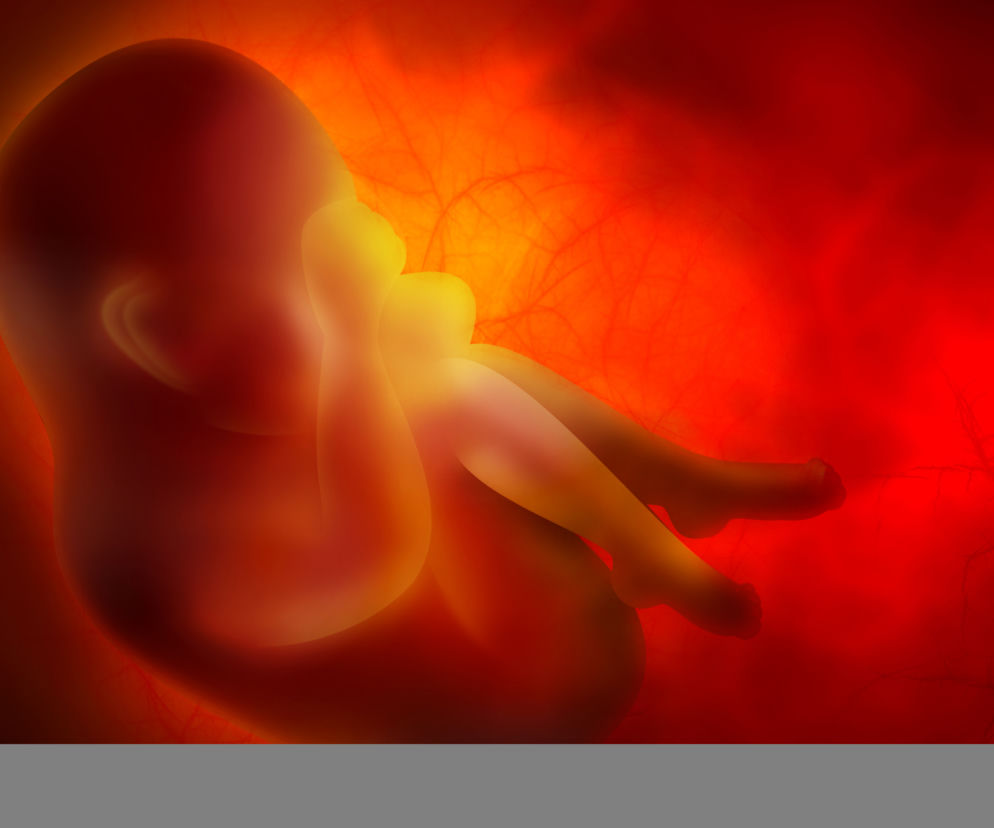 Aborcja płód