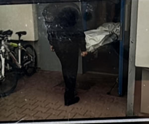 Sylwia i Krzysztof mieli życie, jak z bajki, teraz oboje nie żyją. Mąż zabił żonę, potem siebie