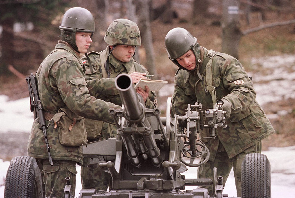 20 lat Polski w NATO. Tak się zmieniła armia