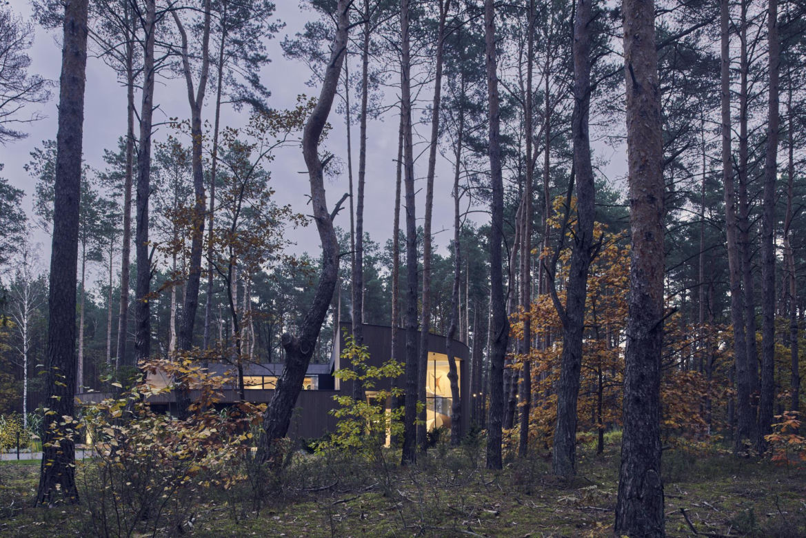Circle Wood