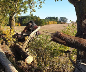 Olbrzymie kłody zablokowały drogę wojewódzką 163