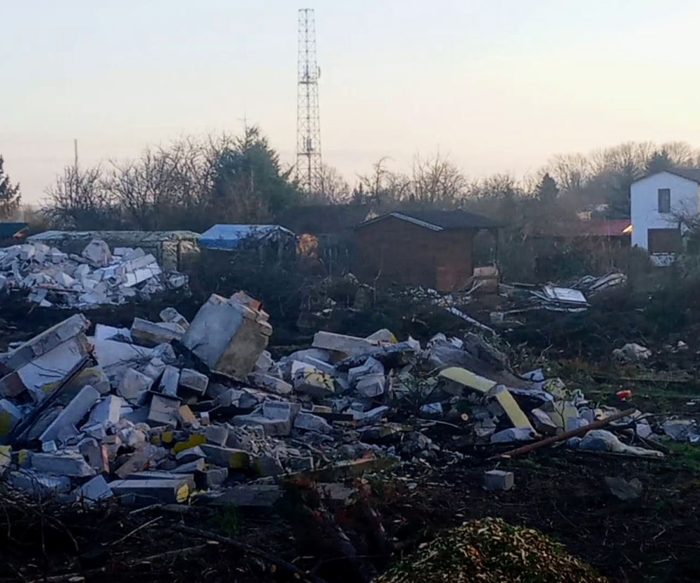 Torowa rewolucja: wycinka drzew na pętli Pomorzany i likwidacja działek