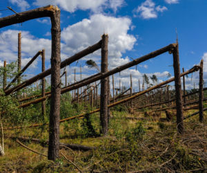 Harcerki, które zginęły w  wyniku nawałnicy