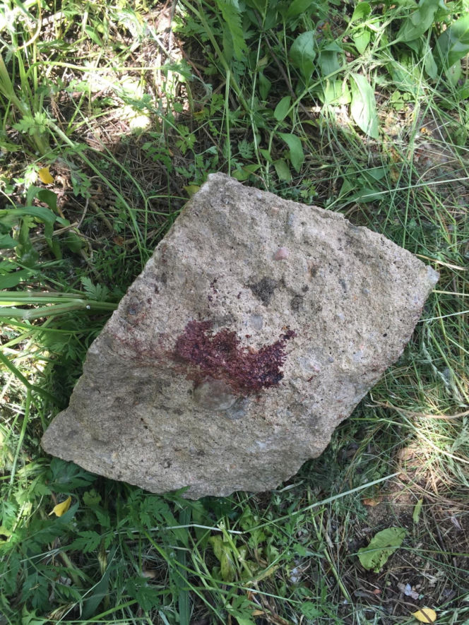 Ola przeżyła tortury zadawane przez 14-latka, bo udawała martwą. Horror w Łódzkiem