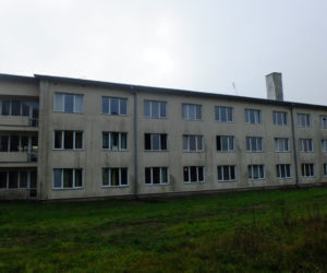 Poszedł zrywać jabłka, został zastrzelony