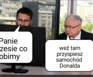 Policja zatrzymała prawo jazdy Tuska. Najlepsze memy