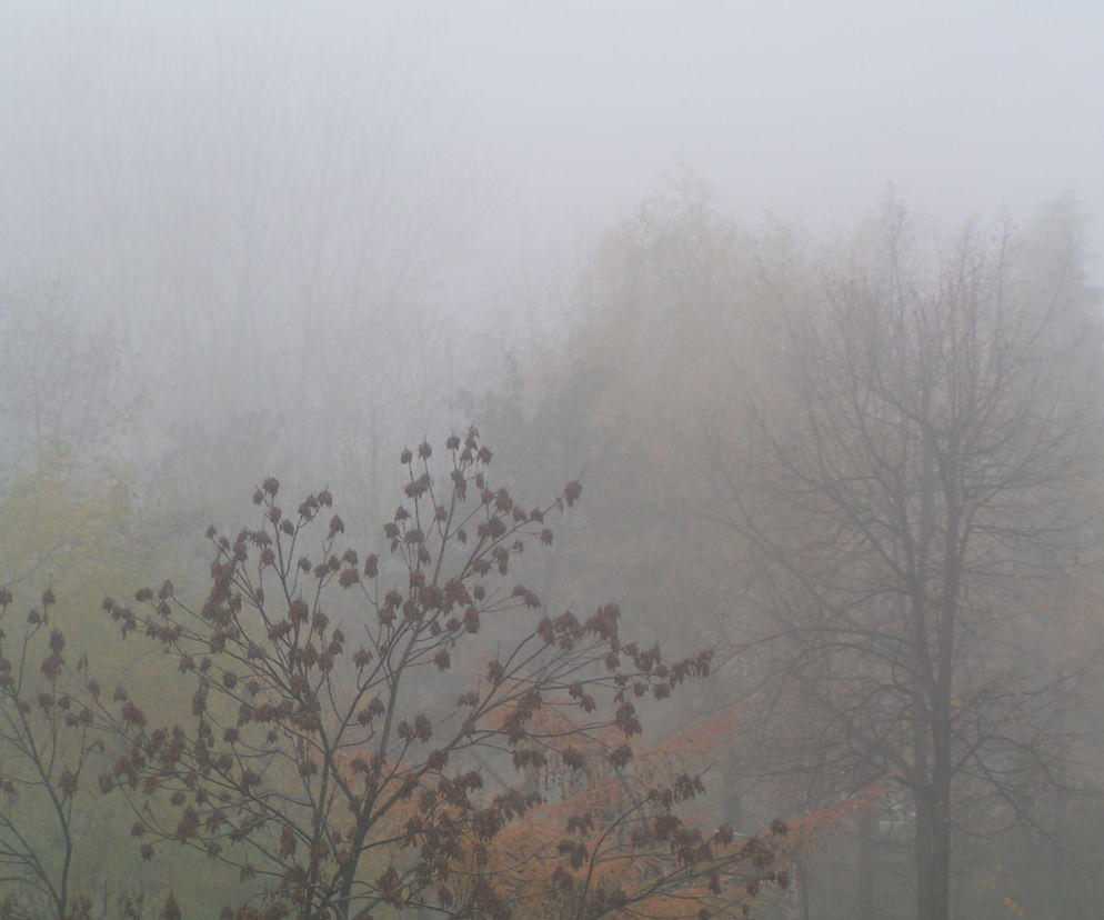 Gigantyczna mgła w Krakowie to SMOG! Fatalna jakość powietrza w Małopolsce [DANE]