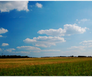 Zdjęcie 5811
