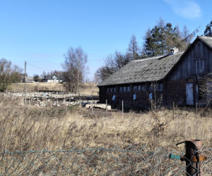Tajemnicza śmierć braci w Domaniewicach