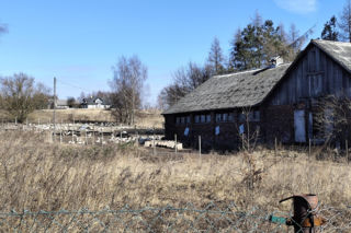 Tajemnicza śmierć braci w Domaniewicach
