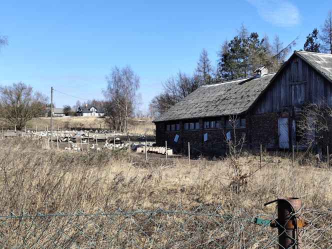 Tajemnicza śmierć braci w Domaniewicach