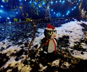 Dom bydgoskich Griswoldów znów rozbłysł. Powieśiliśmy 300 tysięcy lampek. Przygotowywaliśmy jej od lipca!