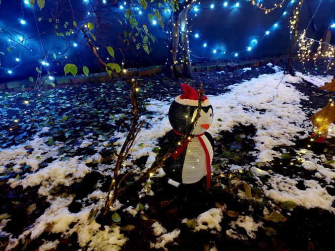 Dom bydgoskich Griswoldów znów rozbłysł. "Powieśiliśmy 300 tysięcy lampek. Przygotowywaliśmy jej od lipca!"